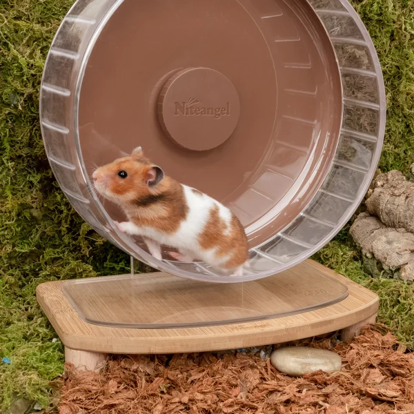 Wheel chạy bộ cho Hamster - Ảnh 2