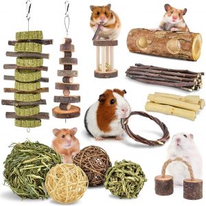 Mài Răng Hamster
