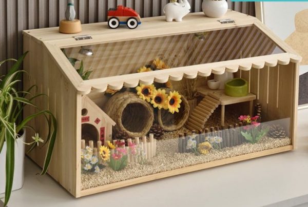 Nhà Cho Hamster - Ảnh 2